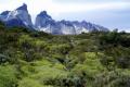 Priroda, biljke i životinje Čilea Prirodni i rekreativni uslovi za razvoj turizma