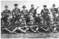 Ірландська визвольна армія: опис, функції, чисельність Збройні сили ірландії