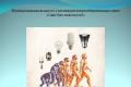 Evolution (history) of the light bulb